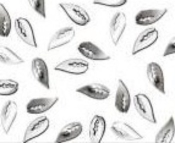 Nail art             Metallic nail art Metallic silver ( FOGLIA )