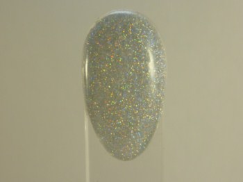 GEL TOP LINE             Gel colorati Gel colorato ( HOLO SILVER )
