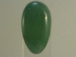   Gel colorato ( FOREST )