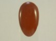   Gel colorato ( CHOCOLATE )