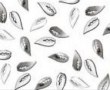  Metallic nail art Metallic silver ( FOGLIA )